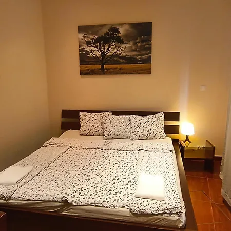 Oasis In The Old Town *